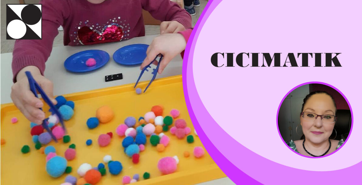 CICImatik II - 8 urni seminar