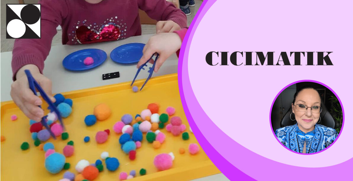 CICImatik II - 8 urni seminar