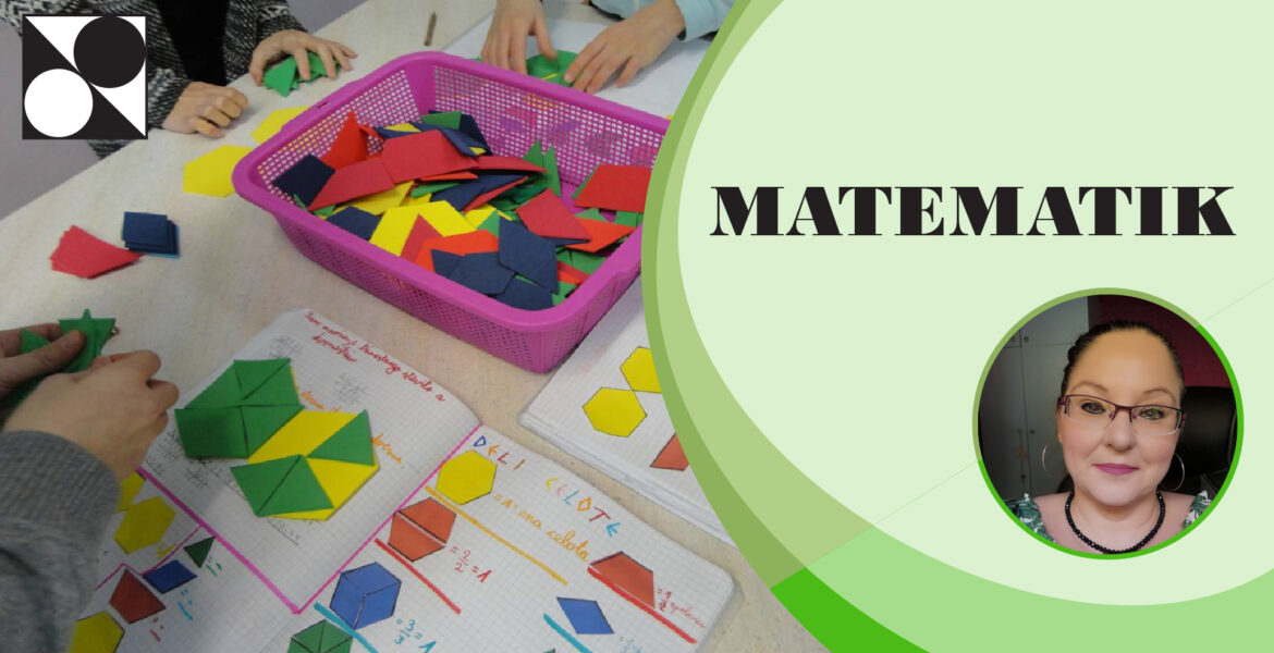 Matematik - 24 urni seminar